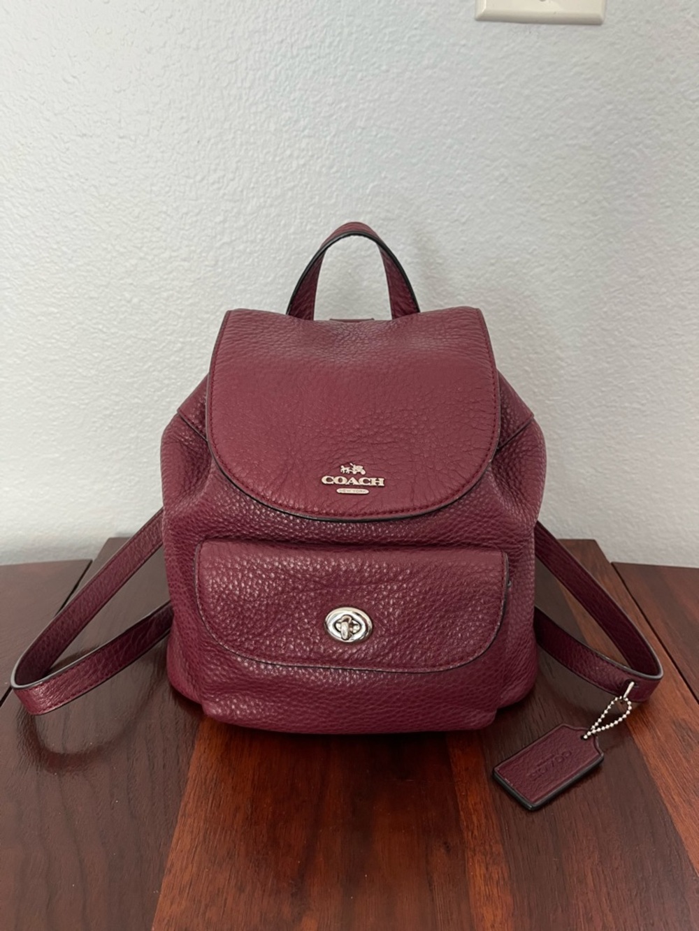 COACH Women's Burgundy Leather Mini Backpack F37621